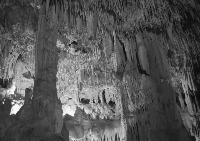 Иллюстрация к книге — Рассвет Инлиранги [i_003.jpg]