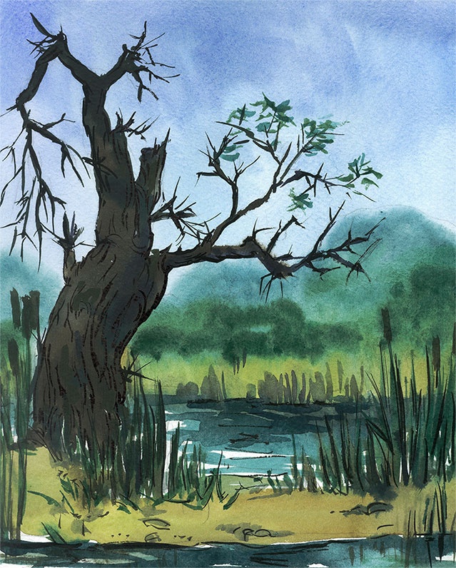 Иллюстрация к книге — Большое путешествие Димы. Книга вторая [i_030.jpg]