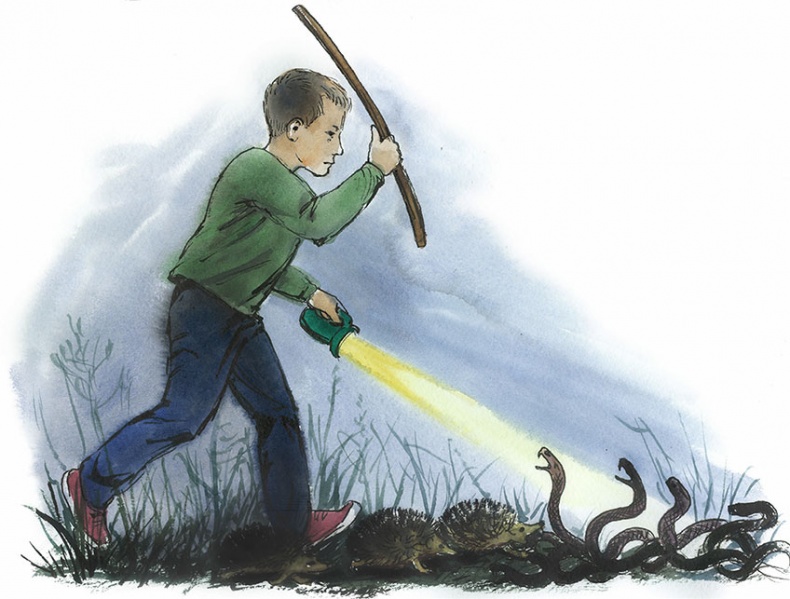 Иллюстрация к книге — Большое путешествие Димы. Книга вторая [i_038.jpg]