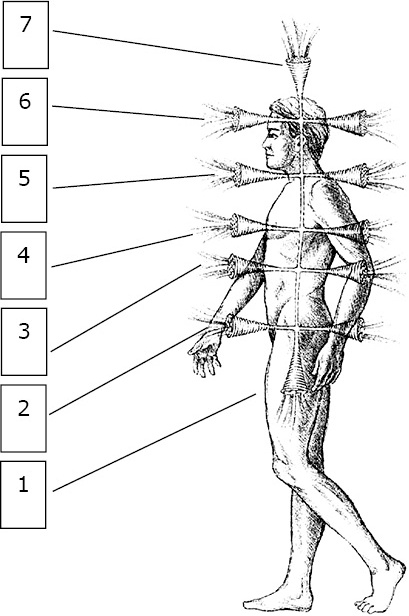 Иллюстрация к книге — Карты Таро в работе психолога [_50.jpg]