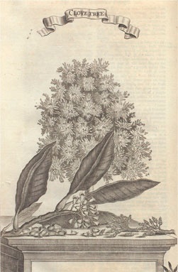 Иллюстрация к книге — Битвы за еду и войны культур. Тайные двигатели истории [i_011.jpg]