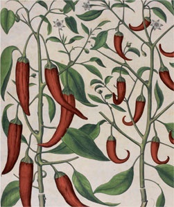 Иллюстрация к книге — Битвы за еду и войны культур. Тайные двигатели истории [i_012.jpg]