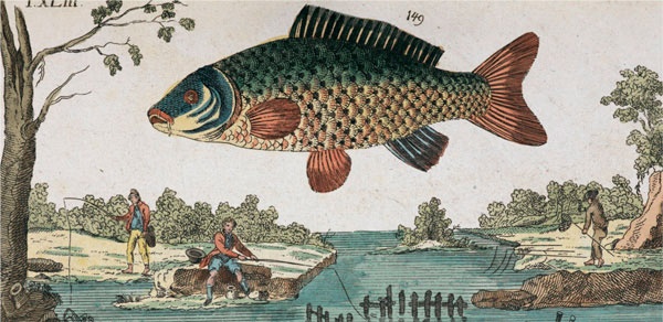 Иллюстрация к книге — Битвы за еду и войны культур. Тайные двигатели истории [i_033.jpg]