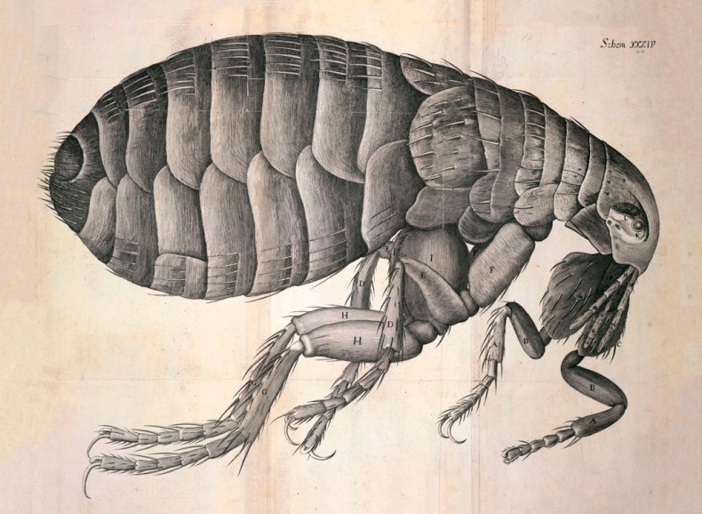 Иллюстрация к книге — Битвы за еду и войны культур. Тайные двигатели истории [i_049.jpg]