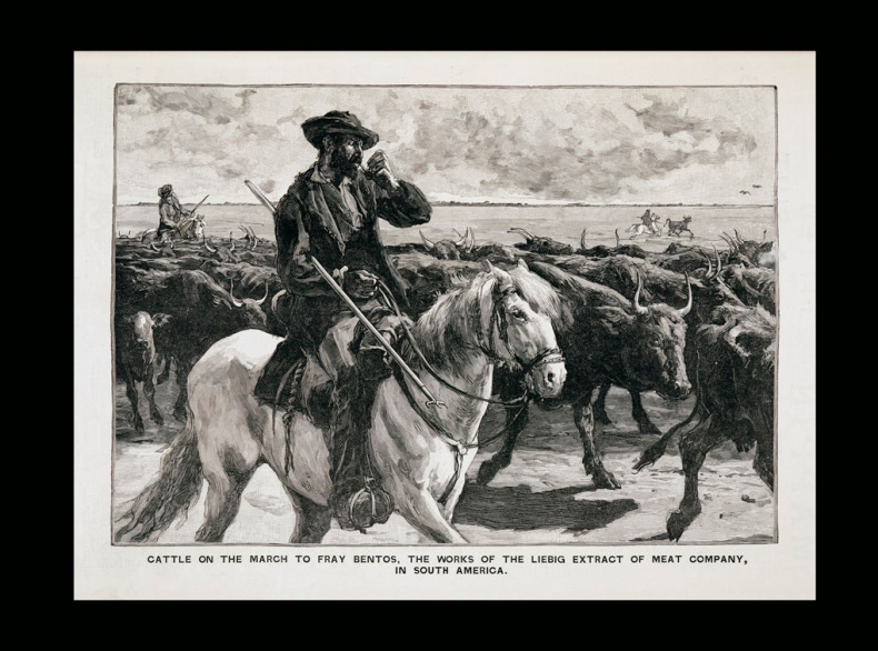 Иллюстрация к книге — Битвы за еду и войны культур. Тайные двигатели истории [i_063.jpg]