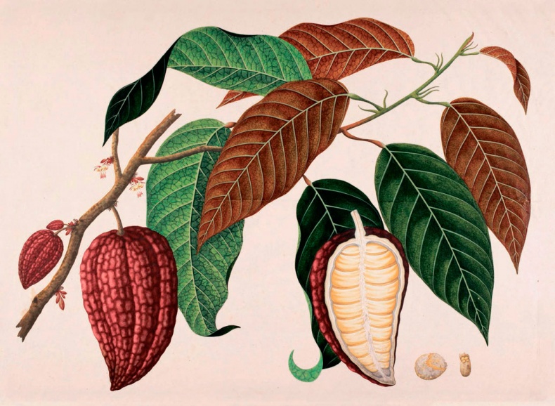 Иллюстрация к книге — Битвы за еду и войны культур. Тайные двигатели истории [i_131.jpg]