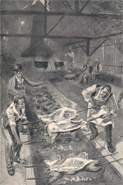 Иллюстрация к книге — Битвы за еду и войны культур. Тайные двигатели истории [i_156.jpg]