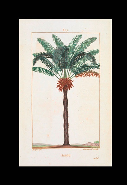 Иллюстрация к книге — Битвы за еду и войны культур. Тайные двигатели истории [i_186.jpg]