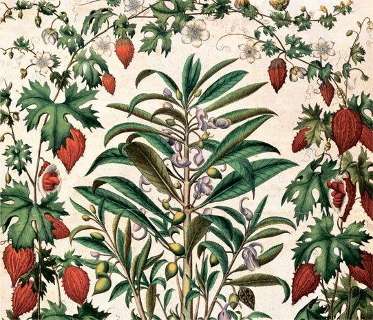 Иллюстрация к книге — Битвы за еду и войны культур. Тайные двигатели истории [i_198.jpg]