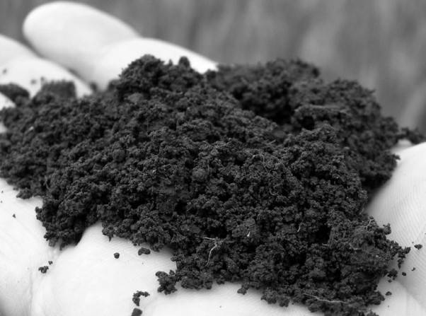 Иллюстрация к книге — Защита сада и огорода без химии. Как перехитрить болезни и вредителей [i_014.jpg]