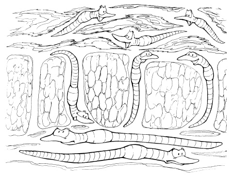 Иллюстрация к книге — Защита сада и огорода без химии. Как перехитрить болезни и вредителей [i_022.jpg]