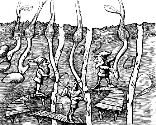 Иллюстрация к книге — Защита сада и огорода без химии. Как перехитрить болезни и вредителей [i_024.jpg]