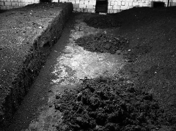 Иллюстрация к книге — Защита сада и огорода без химии. Как перехитрить болезни и вредителей [i_025.jpg]