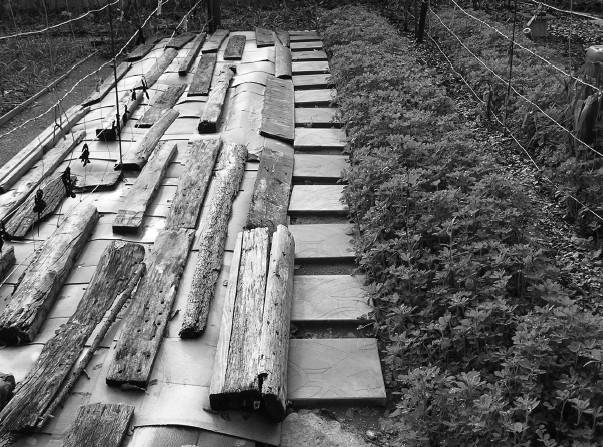 Иллюстрация к книге — Защита сада и огорода без химии. Как перехитрить болезни и вредителей [i_030.jpg]