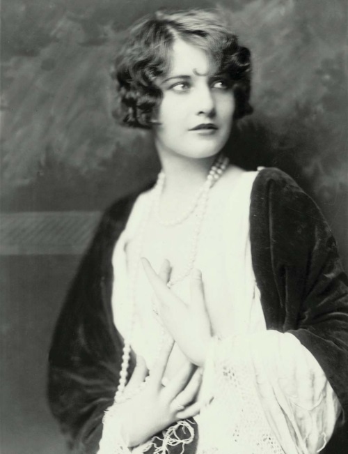 Иллюстрация к книге — Молодые и красивые. Мода двадцатых годов [i_101.jpg]