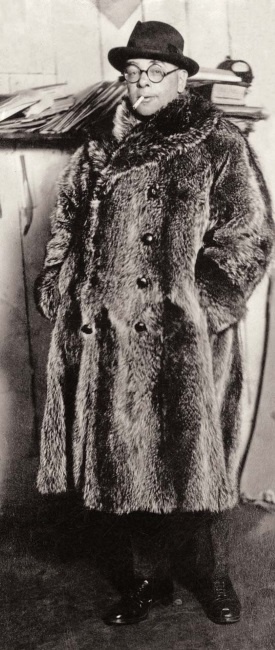 Иллюстрация к книге — Молодые и красивые. Мода двадцатых годов [i_280.jpg]