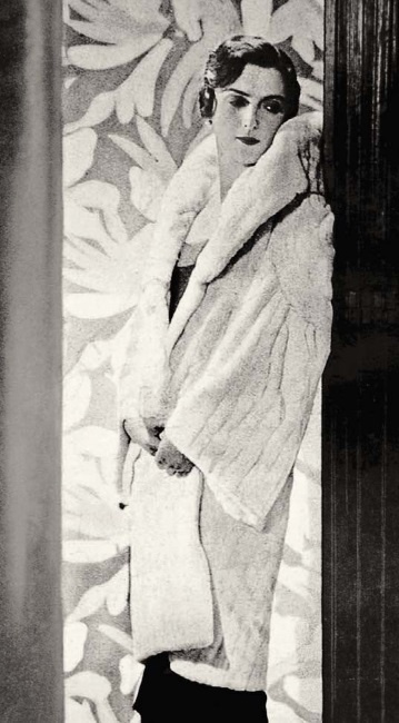 Иллюстрация к книге — Молодые и красивые. Мода двадцатых годов [i_379.jpg]