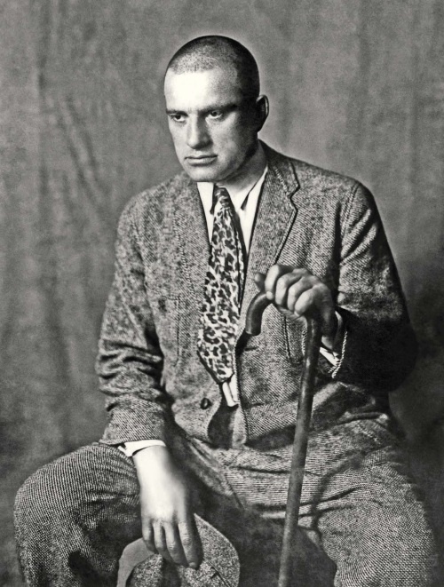 Иллюстрация к книге — Молодые и красивые. Мода двадцатых годов [i_530.jpg]