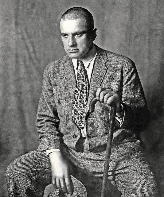 Иллюстрация к книге — Молодые и красивые. Мода двадцатых годов [i_558.jpg]