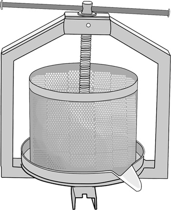 Иллюстрация к книге — Готовим дома сыры. Твердые, сливочные, рассольные, с плесенью [i_010.jpg]