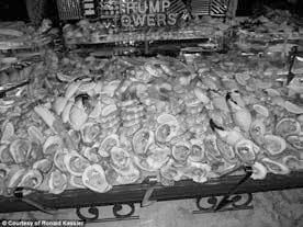 Иллюстрация к книге — Дональд Трамп. Кошмар неоконов или тонкая игра элит [i_009.jpg]