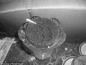 Иллюстрация к книге — Дональд Трамп. Кошмар неоконов или тонкая игра элит [i_010.jpg]