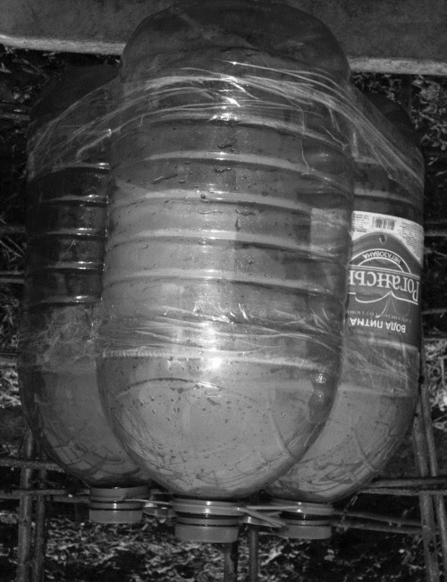 Иллюстрация к книге — Посевной календарь на 2017 год с советами ведущего огородника [i_016.jpg]