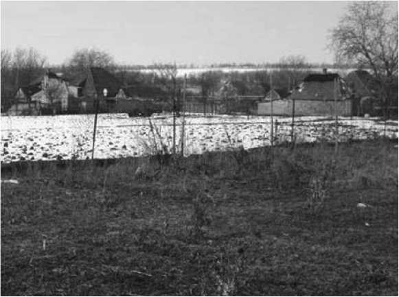 Иллюстрация к книге — Посевной календарь на 2017 год с советами ведущего огородника [i_020.jpg]