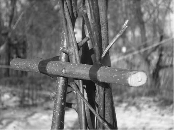 Иллюстрация к книге — Посевной календарь на 2017 год с советами ведущего огородника [i_027.jpg]