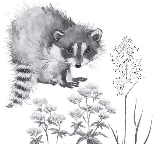 Иллюстрация к книге — Мои питомцы. С вопросами и ответами для почемучек [_1.jpg]