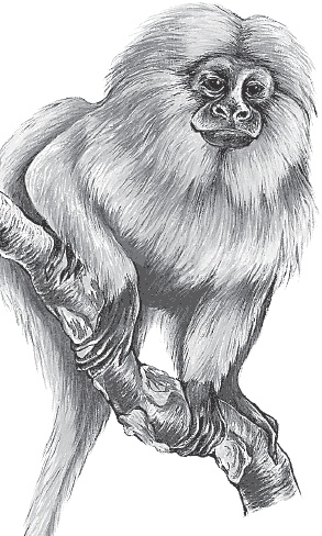 Иллюстрация к книге — Мои питомцы. С вопросами и ответами для почемучек [_10.jpg]