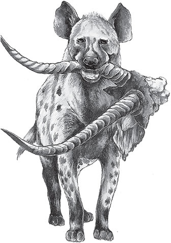 Иллюстрация к книге — Мои питомцы. С вопросами и ответами для почемучек [_101.jpg]