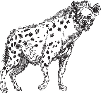 Иллюстрация к книге — Мои питомцы. С вопросами и ответами для почемучек [_103.jpg]