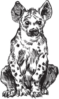 Иллюстрация к книге — Мои питомцы. С вопросами и ответами для почемучек [_104.jpg]