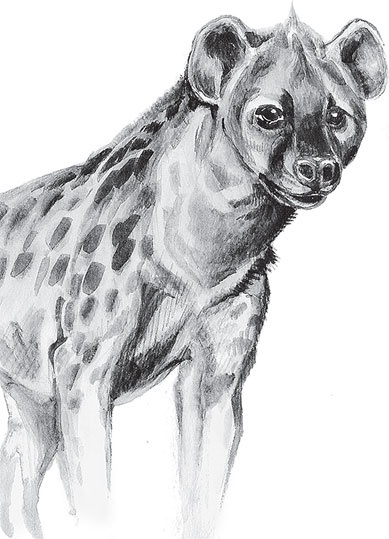 Иллюстрация к книге — Мои питомцы. С вопросами и ответами для почемучек [_105.jpg]