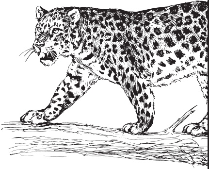 Иллюстрация к книге — Мои питомцы. С вопросами и ответами для почемучек [_116.jpg]