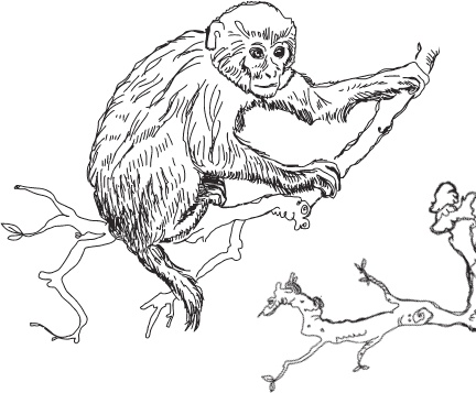 Иллюстрация к книге — Мои питомцы. С вопросами и ответами для почемучек [_13.jpg]