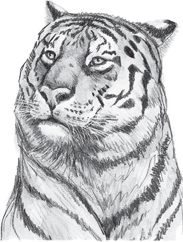 Иллюстрация к книге — Мои питомцы. С вопросами и ответами для почемучек [_146.jpg]