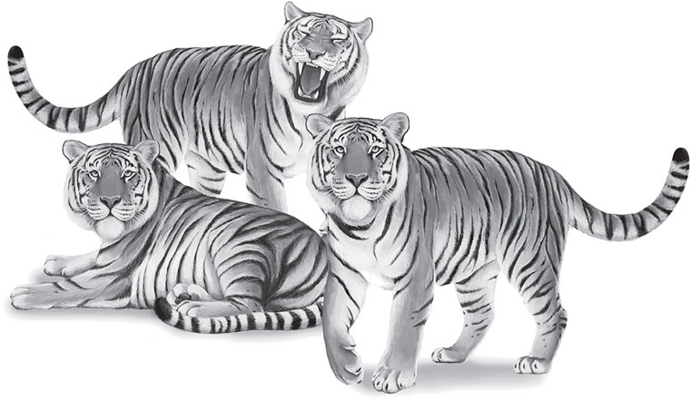 Иллюстрация к книге — Мои питомцы. С вопросами и ответами для почемучек [_147.jpg]