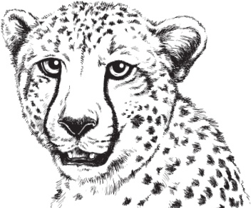 Иллюстрация к книге — Мои питомцы. С вопросами и ответами для почемучек [_16.jpg]