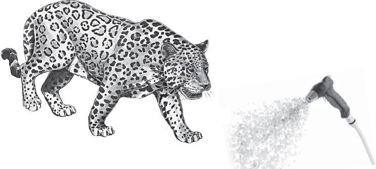 Иллюстрация к книге — Мои питомцы. С вопросами и ответами для почемучек [_20.jpg]