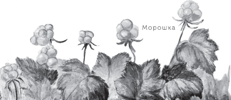 Иллюстрация к книге — Мои питомцы. С вопросами и ответами для почемучек [_29.jpg]