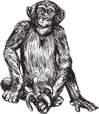 Иллюстрация к книге — Мои питомцы. С вопросами и ответами для почемучек [_3.jpg]