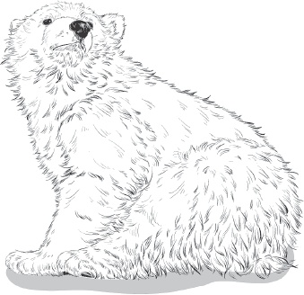 Иллюстрация к книге — Мои питомцы. С вопросами и ответами для почемучек [_32.jpg]