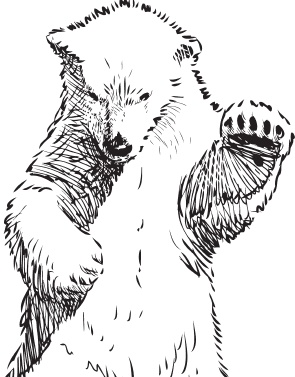 Иллюстрация к книге — Мои питомцы. С вопросами и ответами для почемучек [_38.jpg]