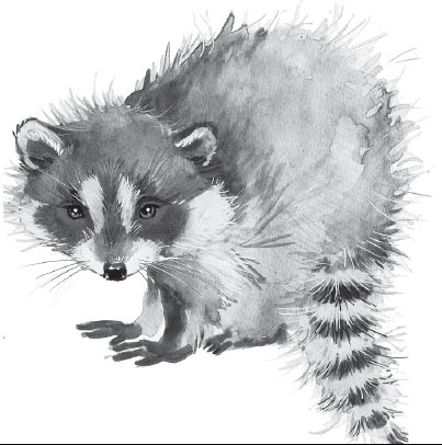 Иллюстрация к книге — Мои питомцы. С вопросами и ответами для почемучек [_39.jpg]