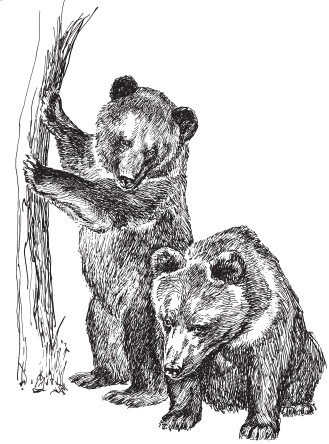 Иллюстрация к книге — Мои питомцы. С вопросами и ответами для почемучек [_40.jpg]