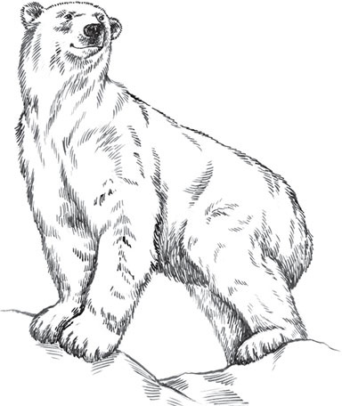 Иллюстрация к книге — Мои питомцы. С вопросами и ответами для почемучек [_42.jpg]