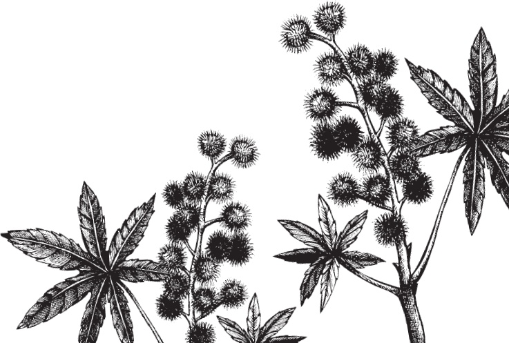 Иллюстрация к книге — Мои питомцы. С вопросами и ответами для почемучек [_7.jpg]