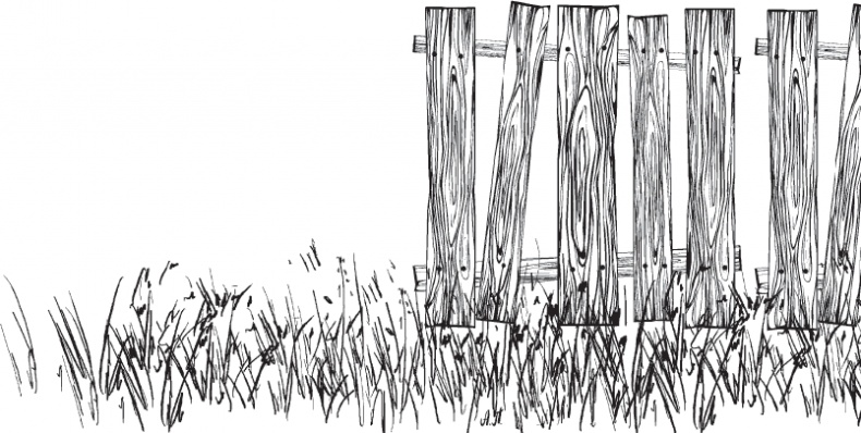 Иллюстрация к книге — Мои питомцы. С вопросами и ответами для почемучек [_75.jpg]